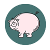 hover image